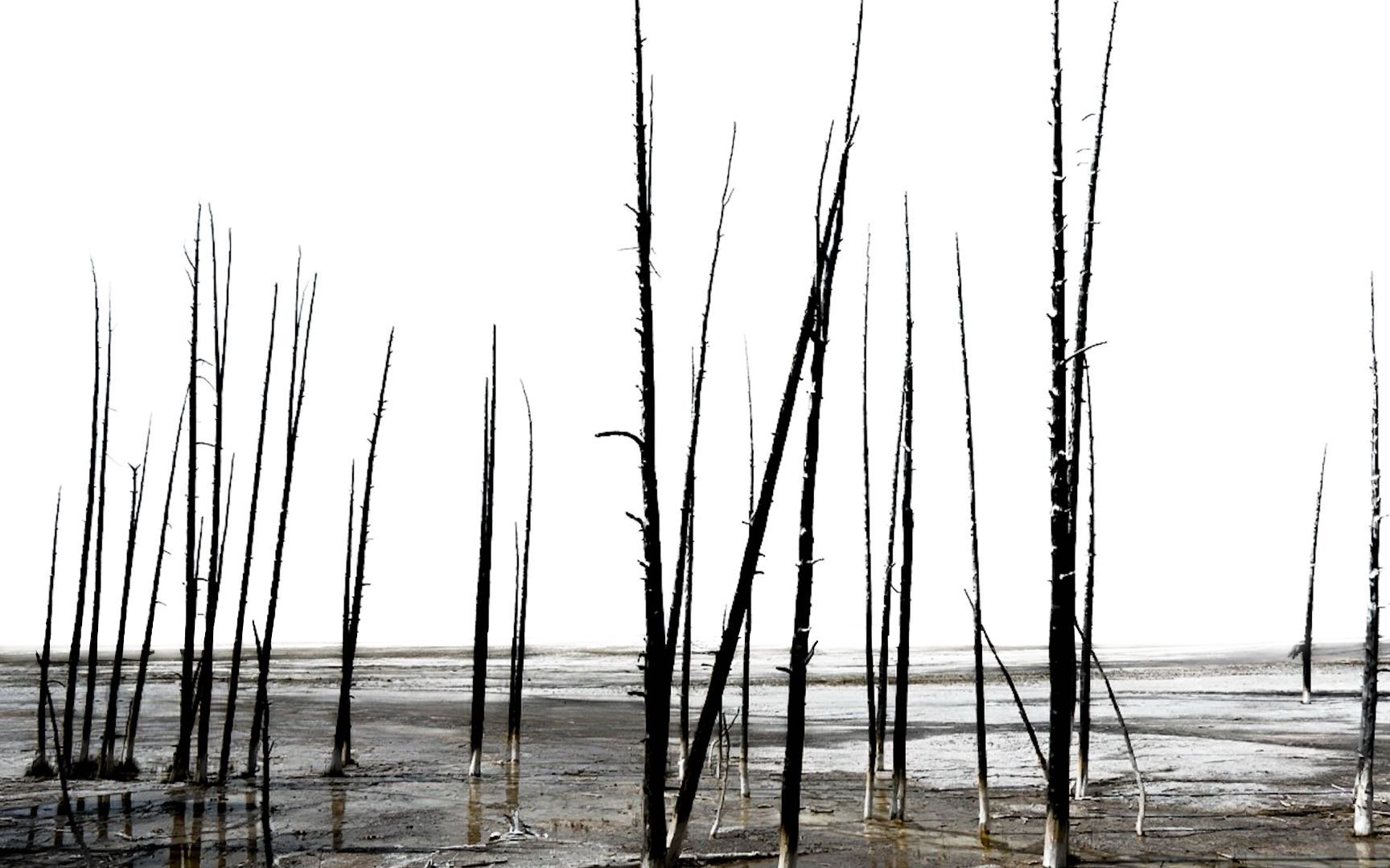 2025_YellowstoneNP_3